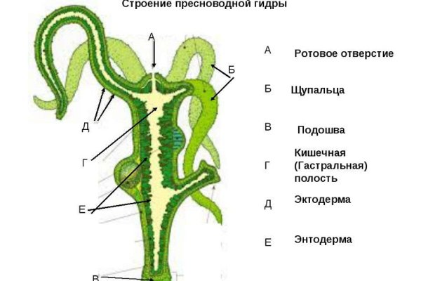 Кракен не заходит