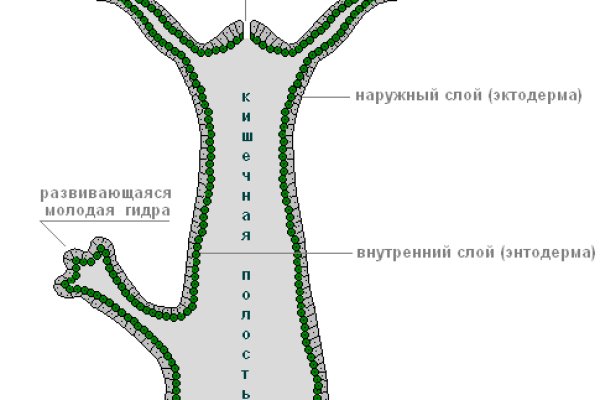 Как зайти на кракен тор